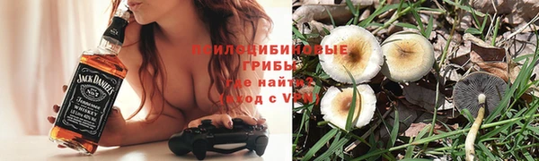 героин Алексин