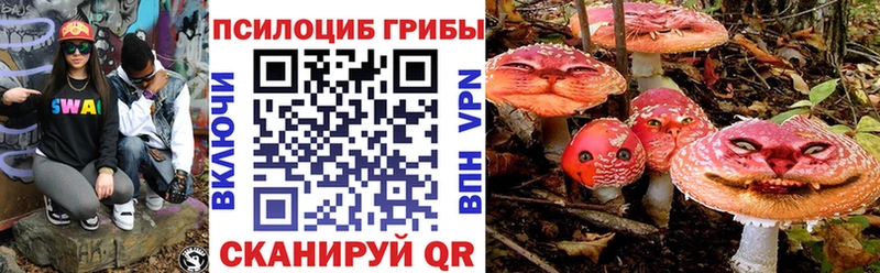 Галлюциногенные грибы MAGIC MUSHROOMS  даркнет сайт  блэк спрут как зайти  Железногорск 